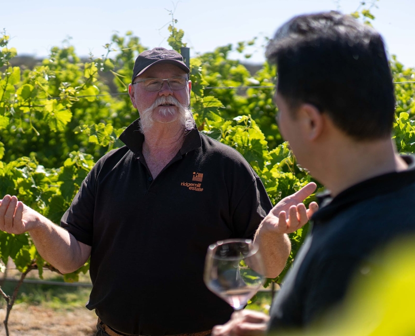 RIDGEMILL ESTATE Vineyard