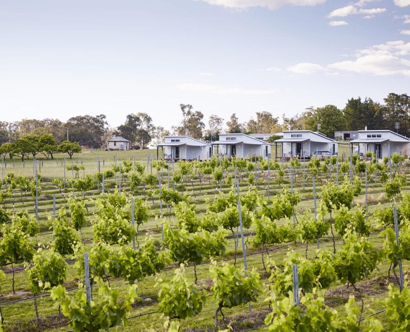 RIDGEMILL ESTATE Cabins Overlooking the Vineyard