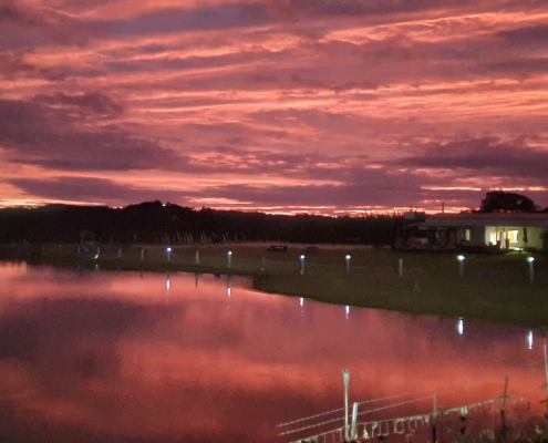 RIDGEMILL ESTATE Stargazing Night