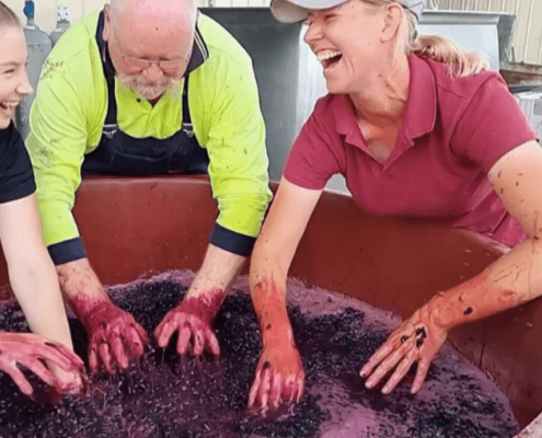 RIDGEMILL ESTATE Pick Crush Plunge Experience