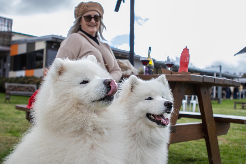 RIDGEMILL ESTATE Stanthope pets welcome