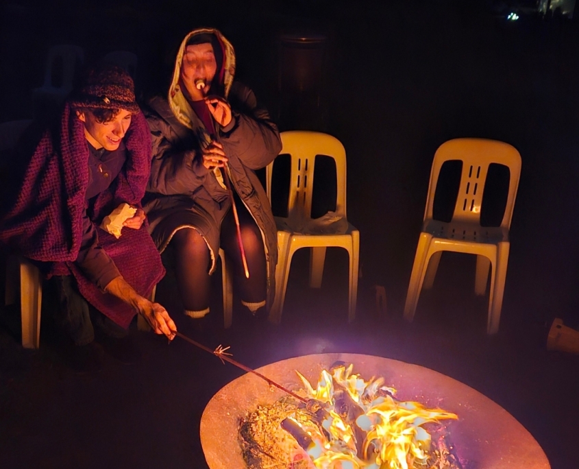 RIDGEMILL ESTATE Stanthorpe Starlight & Vines Experience