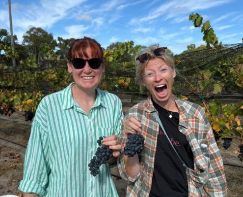 RIDGEMILL ESTATE Pick Crush Plunge Experience