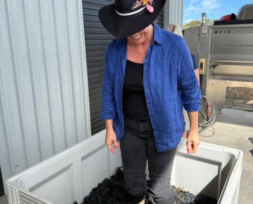 RIDGEMILL ESTATE Pick Crush Plunge Experience