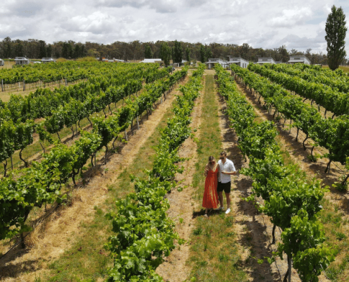 Experience RIDGEMILL ESTATE Stanthorpe