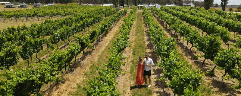 Experience RIDGEMILL ESTATE Stanthorpe